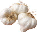 desi garlic (large bulb, large)